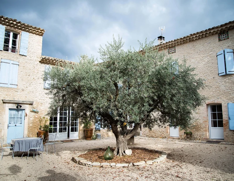 domaine-roseraie-valensoleille-gites-charme