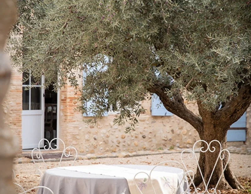 domaine-roseraie-valensoleille-vacances-provence-valensole-verdon