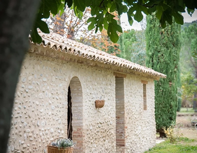 gite-valensole-roseraie-valensoleille