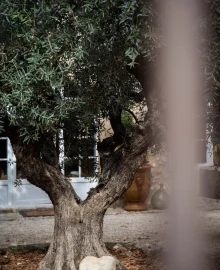 vacances-provence-valensole